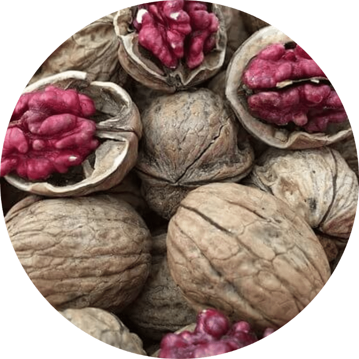 Óc chó đỏ Red Shelled Walnuts