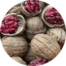 [POSN9] Óc chó đỏ Red Shelled Walnuts