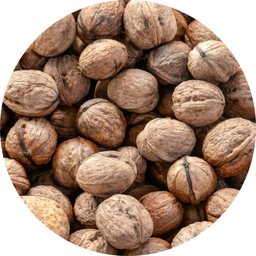 [POSN7] Óc chó vàng Golden shelled walnuts